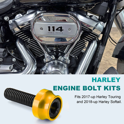 Engine Bolt & Head Toppers Caps Bolt Covers Full Kit Hardware for Harley 2017-Later Touring/Softail