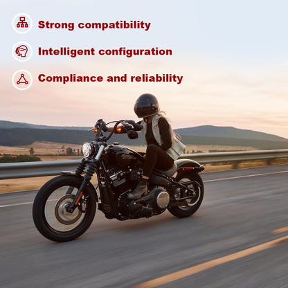 Universal Load Equalizer Resistor Plug and Play Stabilizer Controller for 1996-2013 Harley