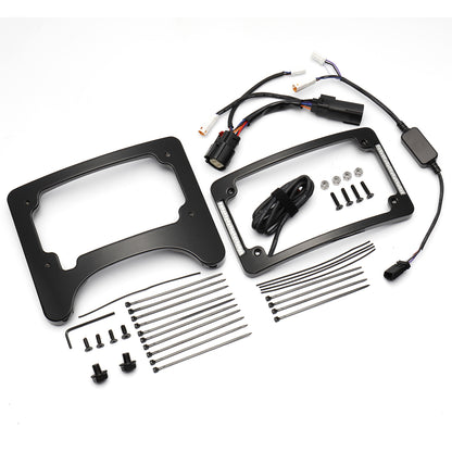 Curved License Plate Frame & Tail Light Mount with LED Illuminated for Harley Touring 2014-2023