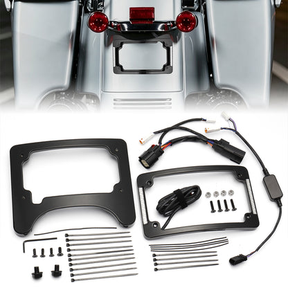 Curved License Plate Frame & Tail Light Mount with LED Illuminated for Harley Touring 2014-2023