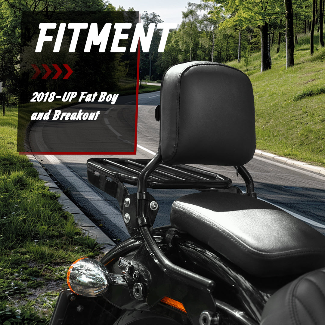 Detachable Backrest Sissy Bar with Luggage Rack for Harley 2018-Later Softail