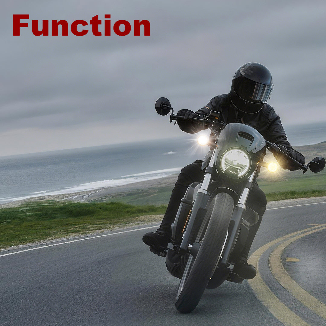 For Harley 2004-2013 Sportster | Softail Load Equalizer Resistor