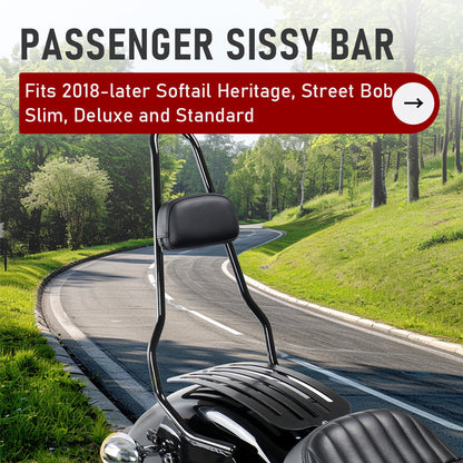 For Harley Softail 2018-Later 16/22.5 Inch Detachable Backrest Holdfast Sissy Bar