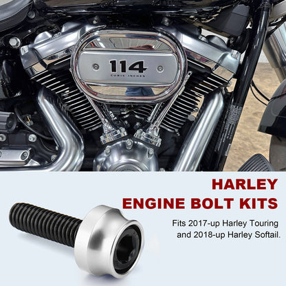 For Harley Touring/Softail 2018-Later 84 Sets Engine Bolt & Toppers Caps Bolt Cover Full Kits